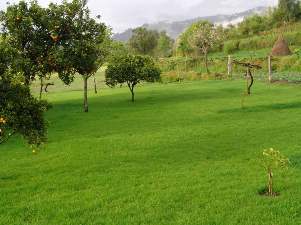 Quinta De Santa Marinha Leilighet Arcos de Valdevez Eksteriør bilde