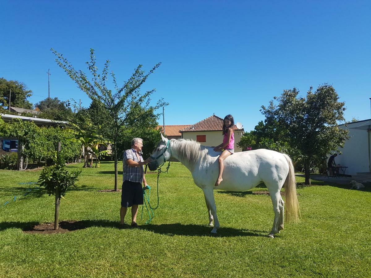 Quinta De Santa Marinha Leilighet Arcos de Valdevez Eksteriør bilde