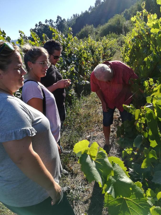 Quinta De Santa Marinha Leilighet Arcos de Valdevez Eksteriør bilde